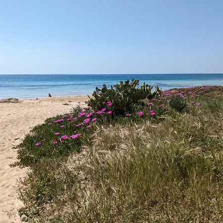Monolocale Citronella A Due Passi Dal Mare
